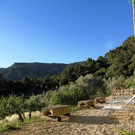 Mirabo De Valldemossa Valldemossa  Exteriér fotografie